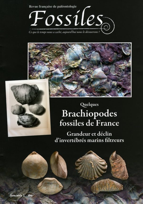 Fossiles Hors-Série 2014 – Quelques Brachiopodes fossiles de France