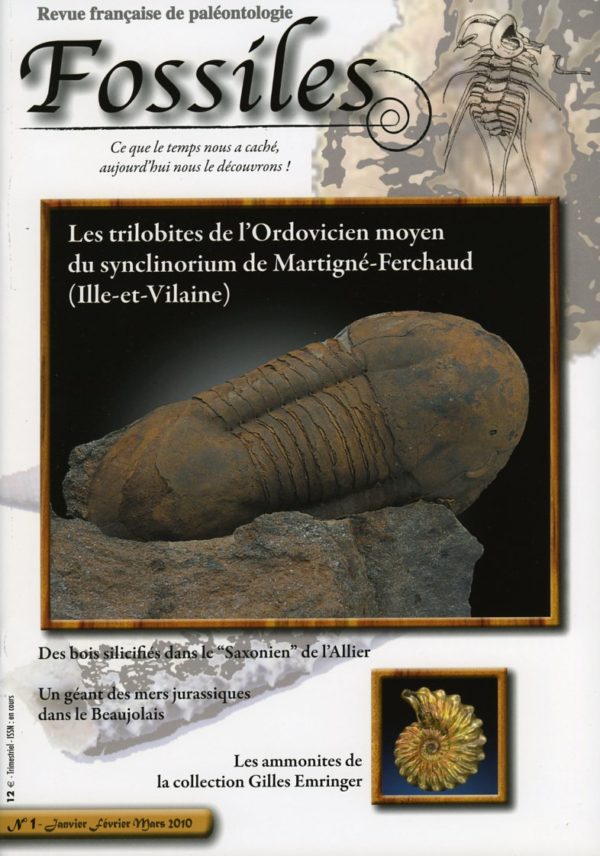 Fossiles n°1