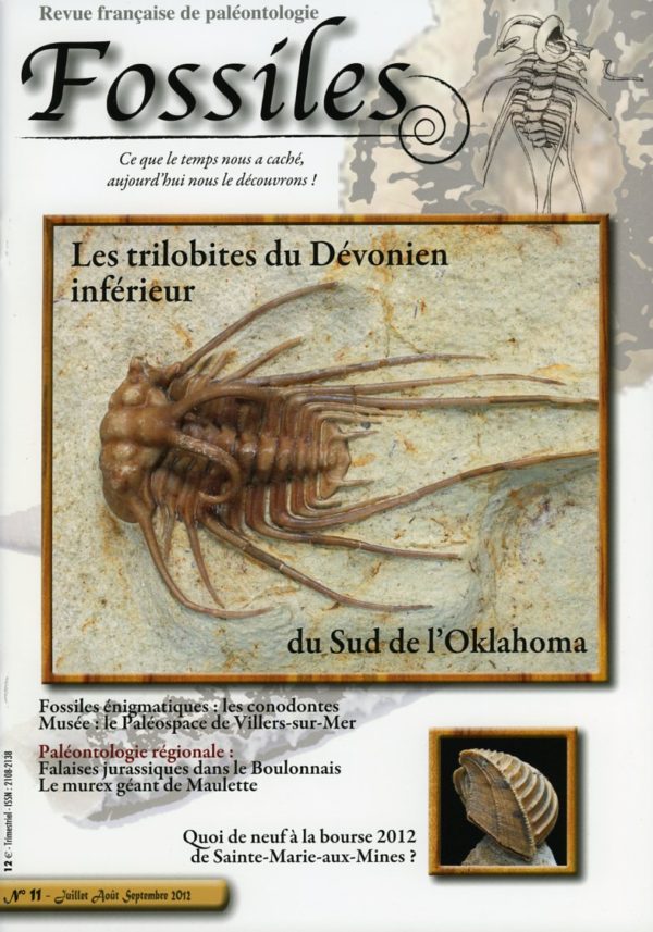 Fossiles n°11