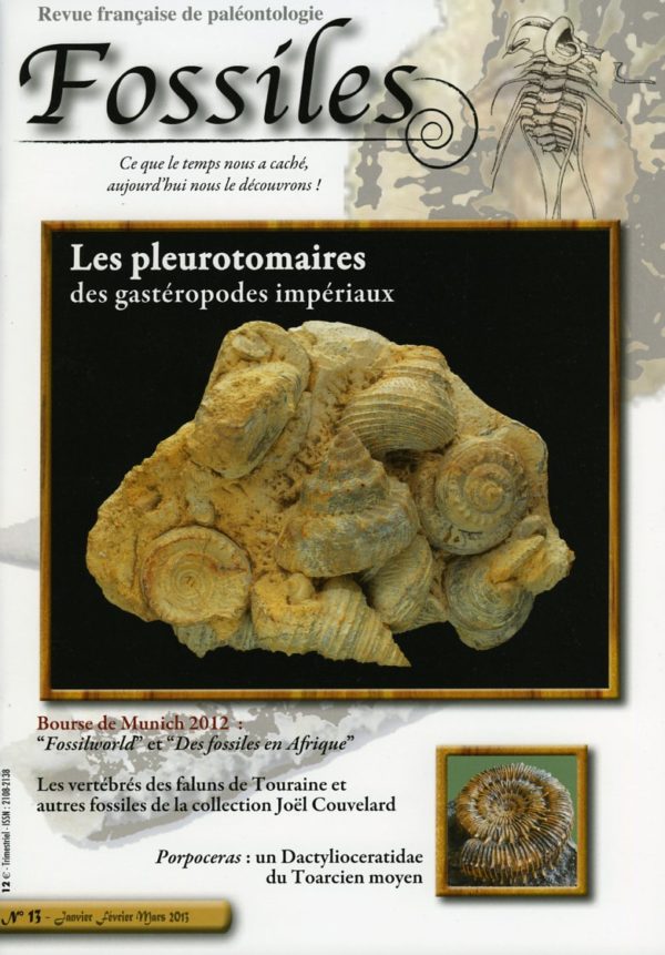 Fossiles n°13