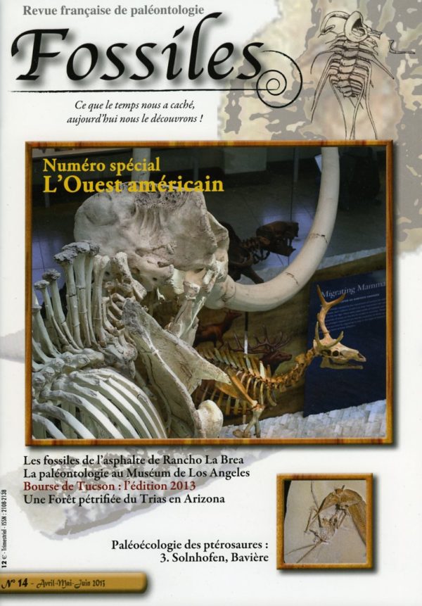 Fossiles n°14