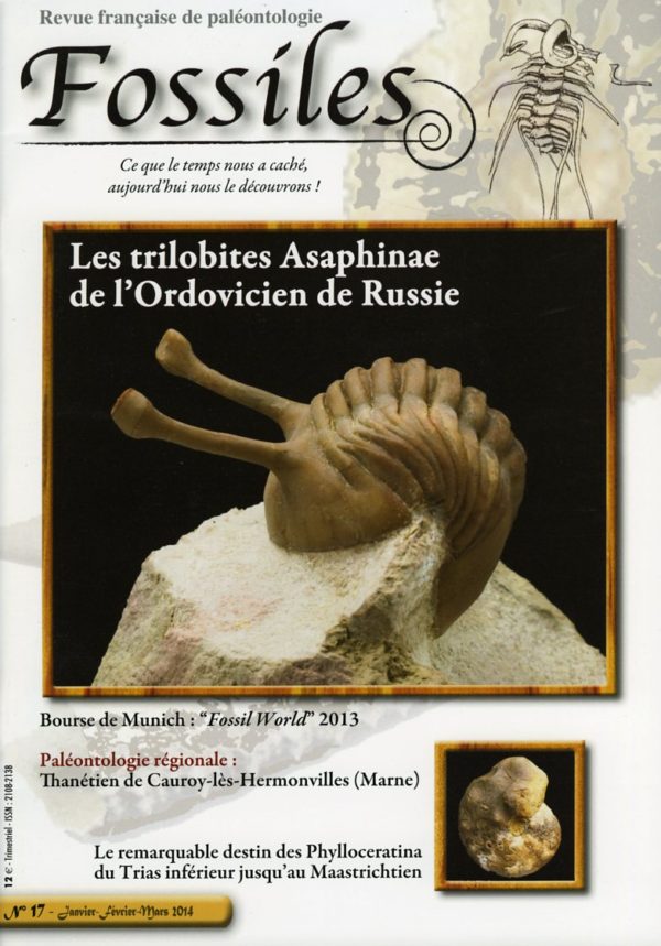 Fossiles n°17