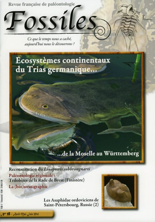 Fossiles n°18