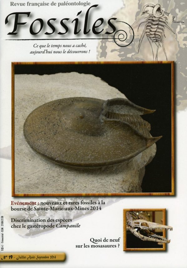 Fossiles n°19