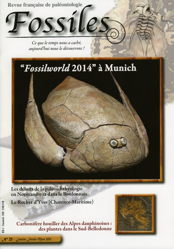 Fossiles n°21