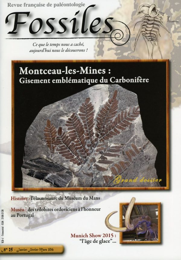 Fossiles n°25
