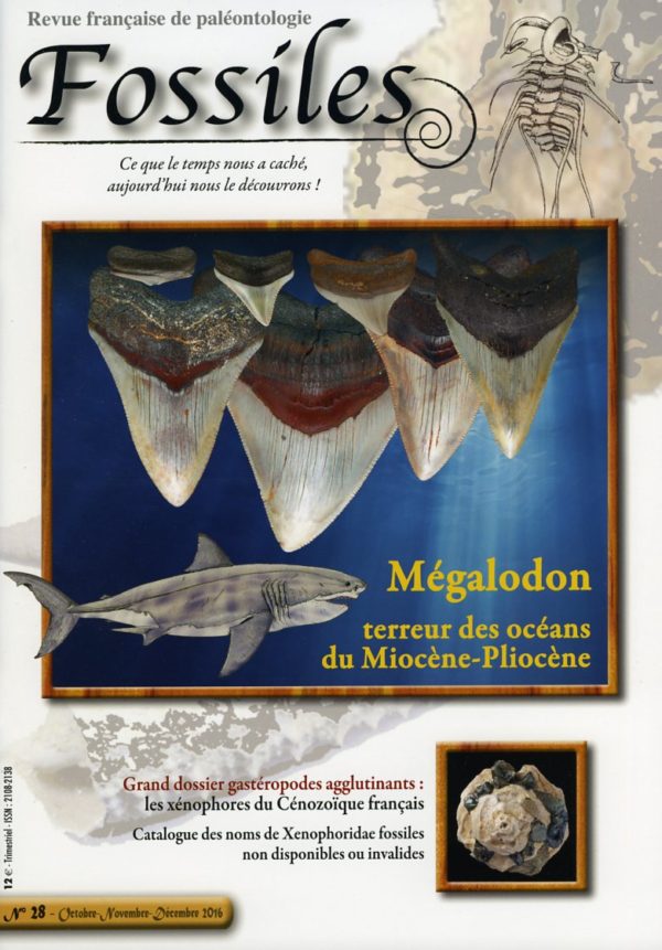 Fossiles n°28