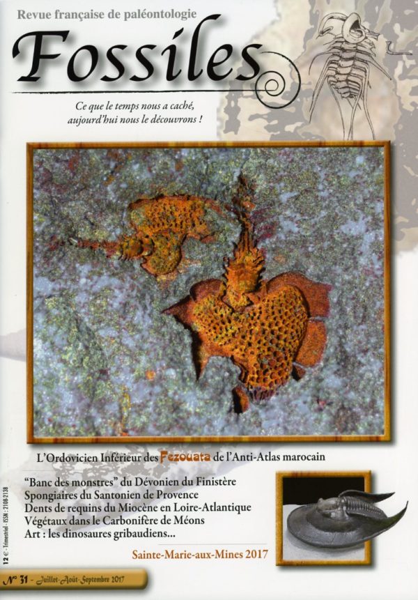 Fossiles n°31