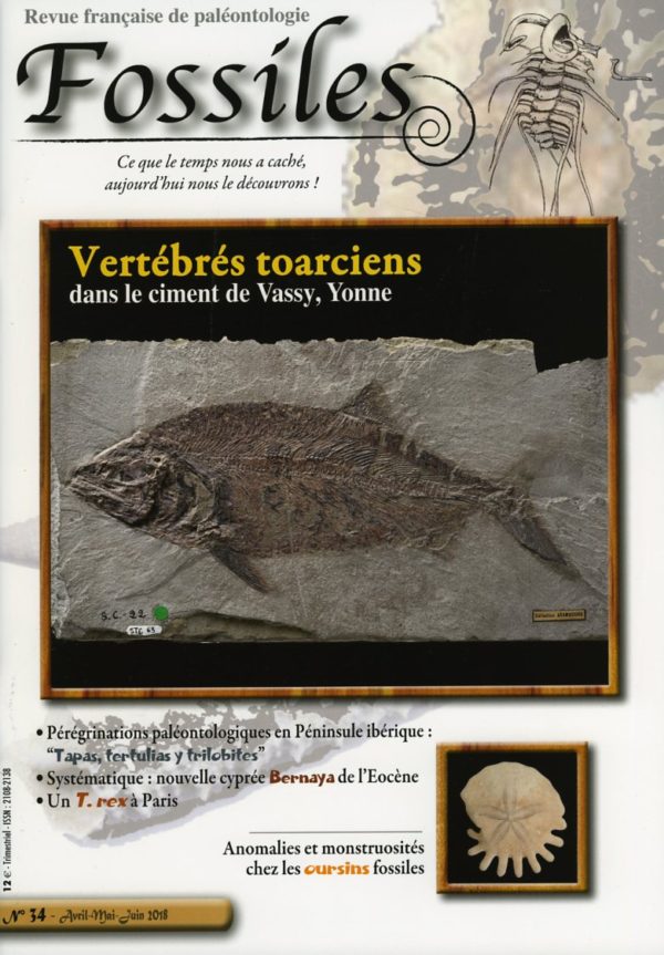 Fossiles n°34