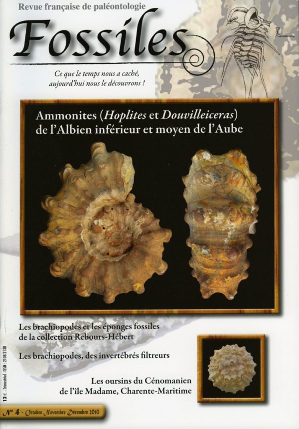 Fossiles n°4