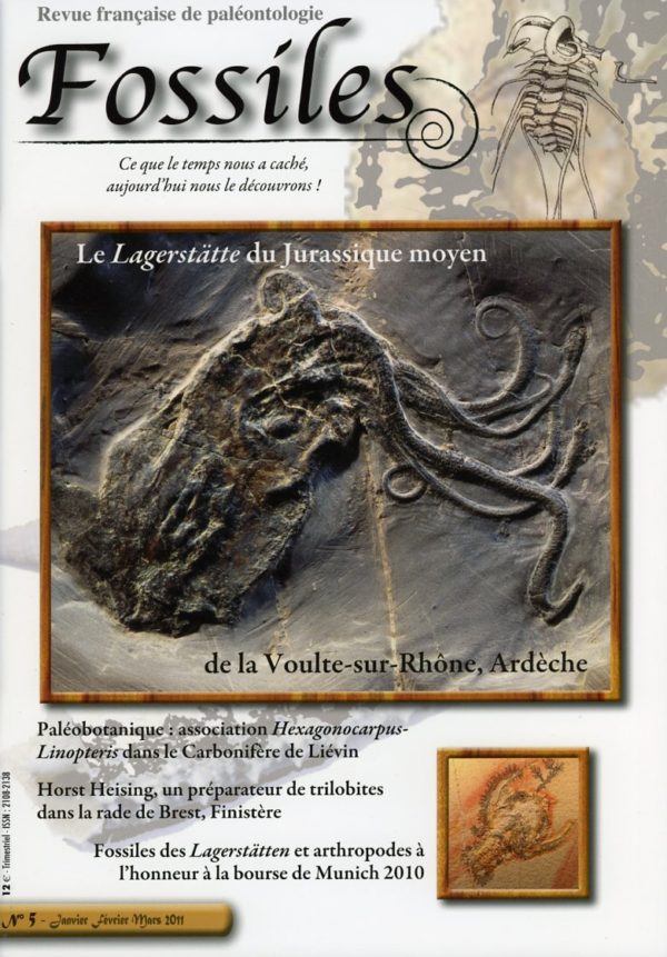 Fossiles n°5