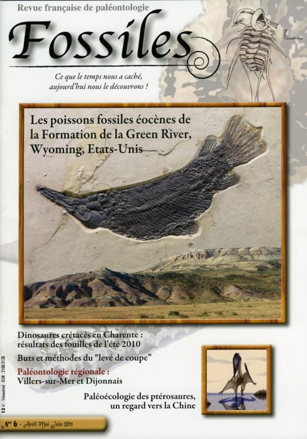 Fossiles n°6