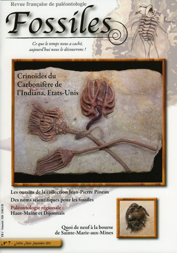 Fossiles n°7