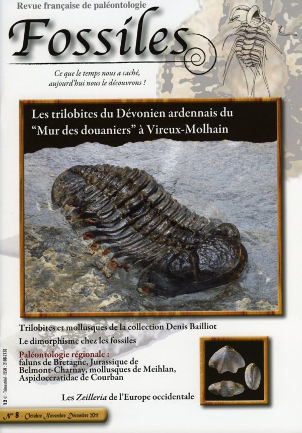 Fossiles n°8