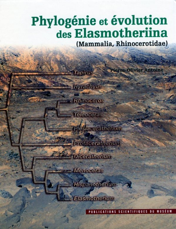 Phylogénie et évolution des Elasmotheriina (Mammalia, Rhinocerotidae) - Pierre Olivier Antoine
