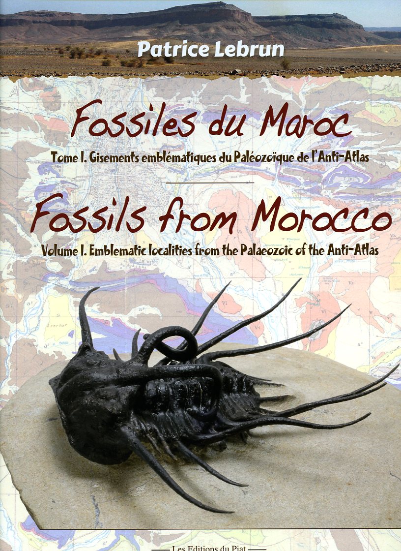 jamais utilisées  2 plaques en fossiles du Maroc d'origine préhistorique neuves 