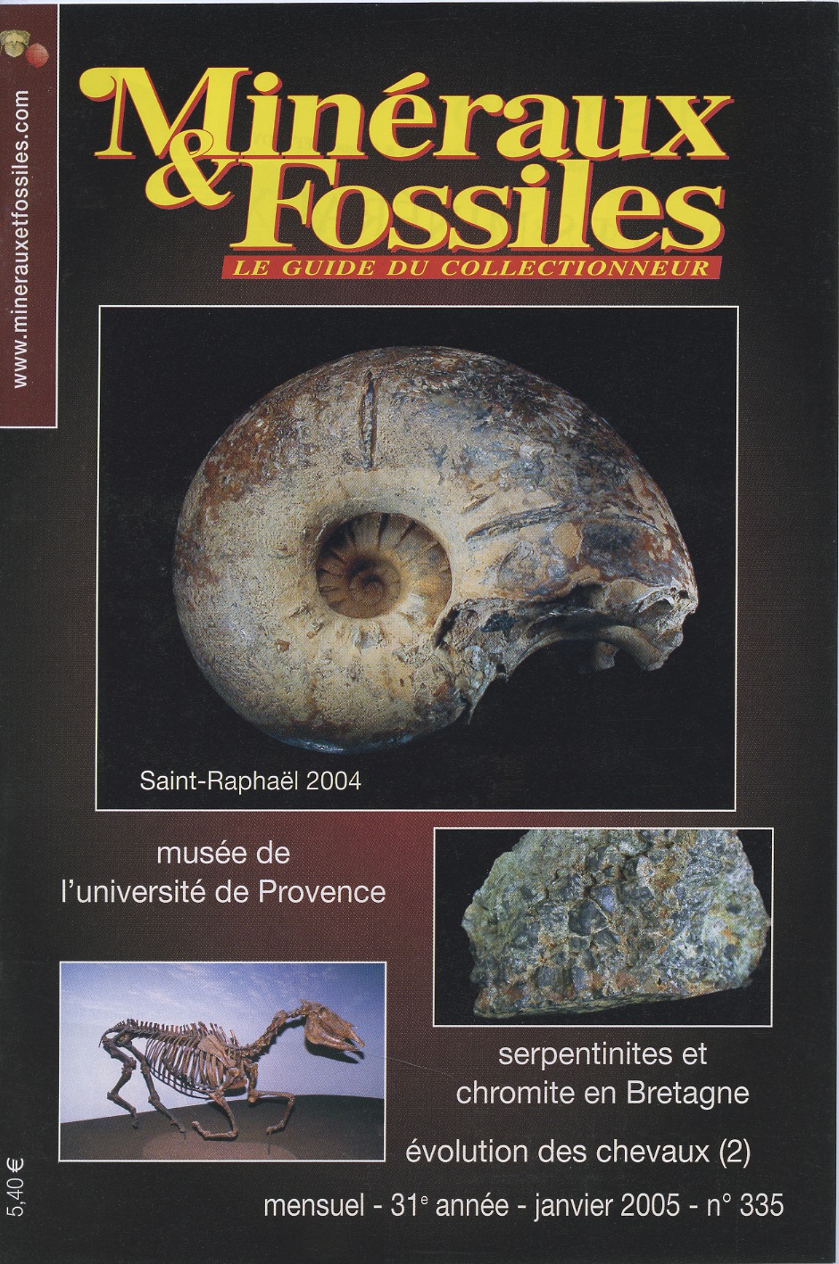 Petite Ammonite Fossile Sciée - La Paire - Minéraux Naturosphère Taille 1-2 Cm