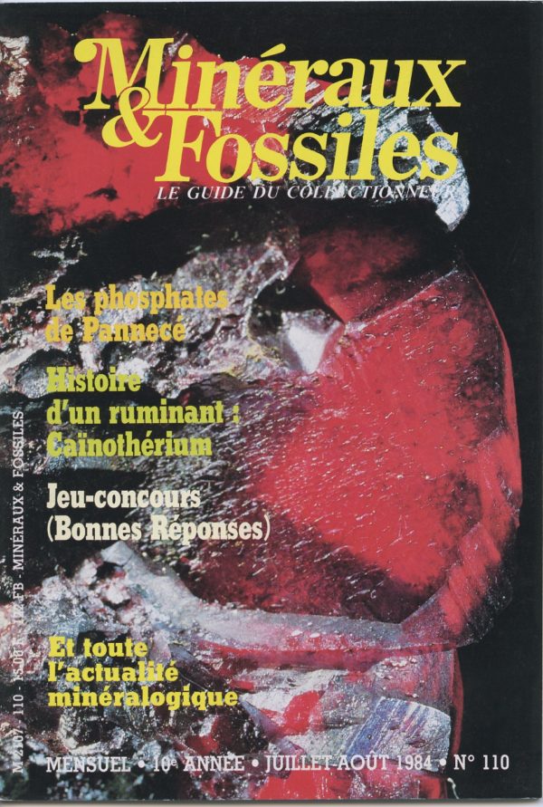 Minéraux et Fossiles n° 110