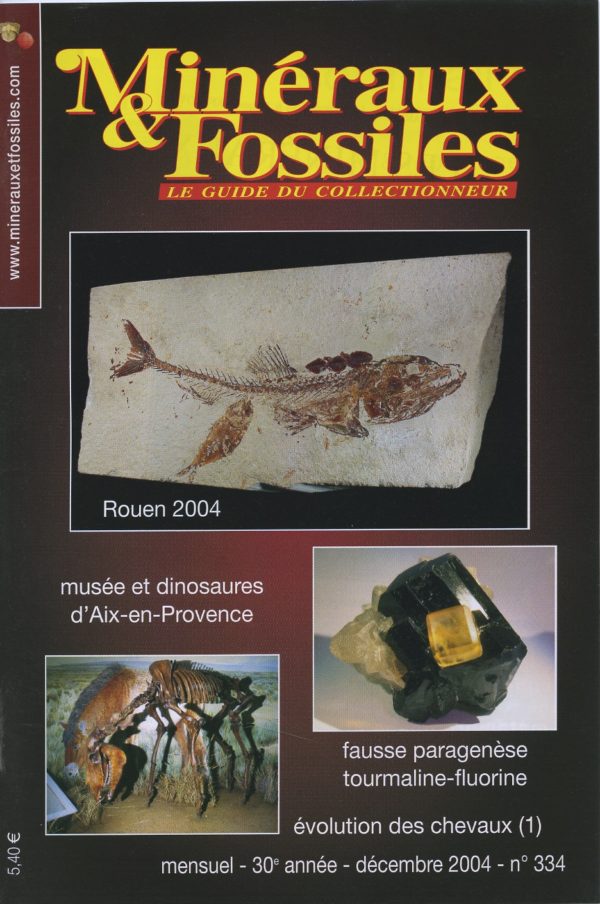 Minéraux et Fossiles n° 334