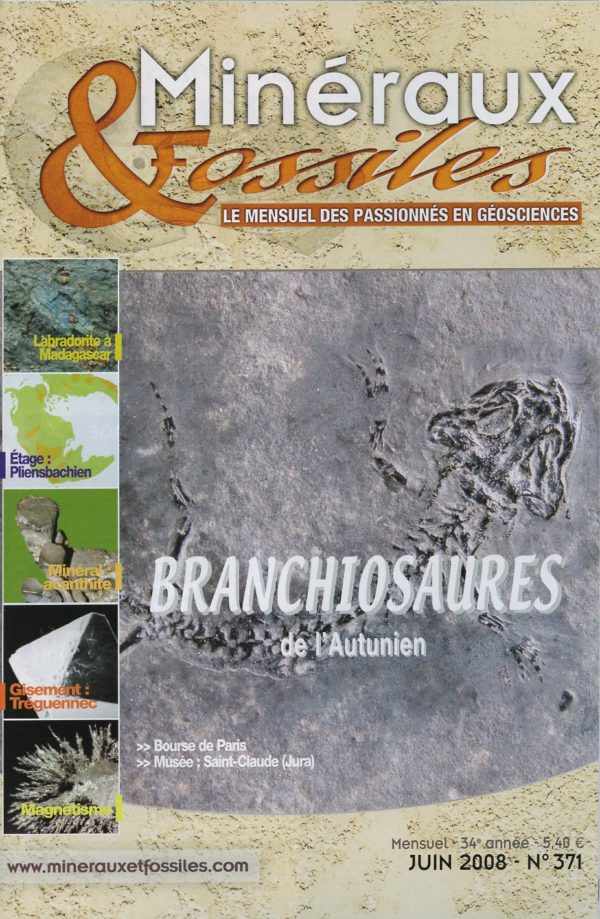 Minéraux et Fossiles n° 371