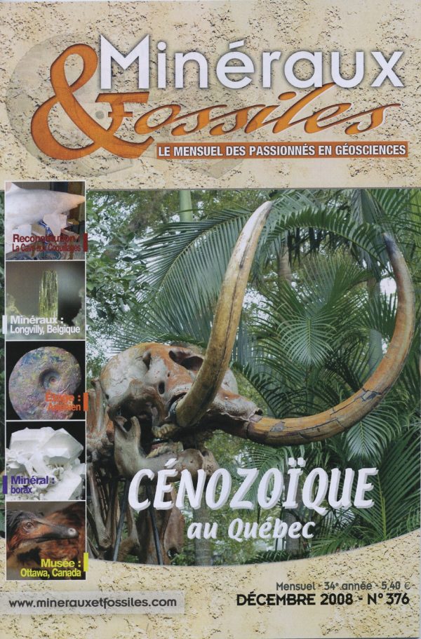 Minéraux et Fossiles n° 376