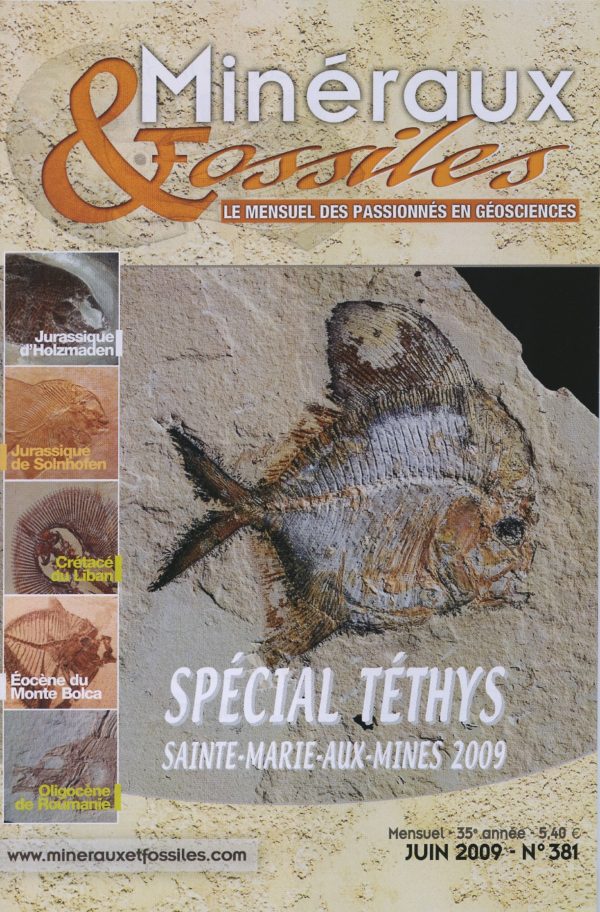 Minéraux et Fossiles n° 381