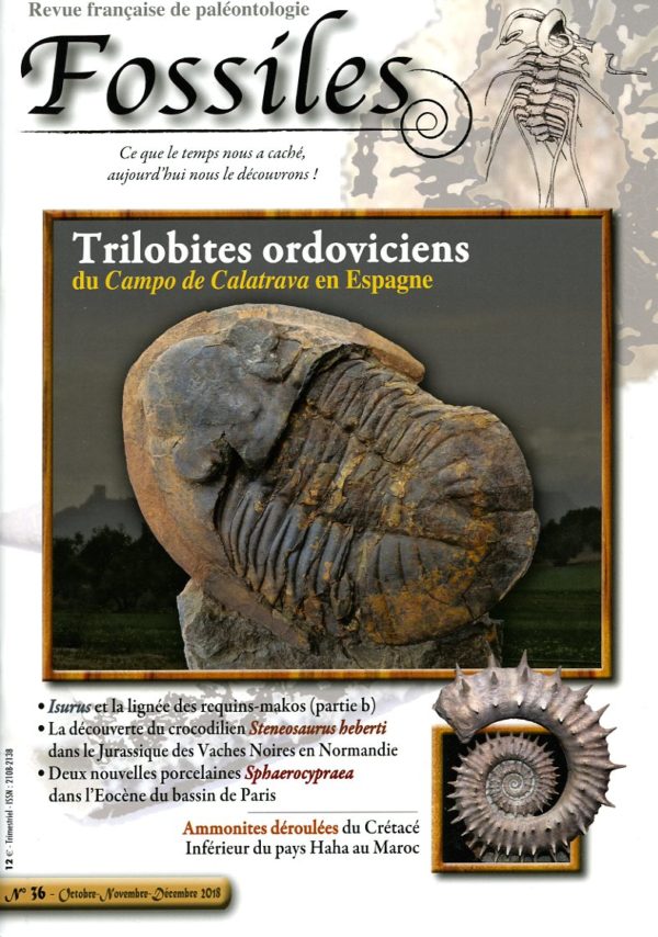 Fossiles n°36