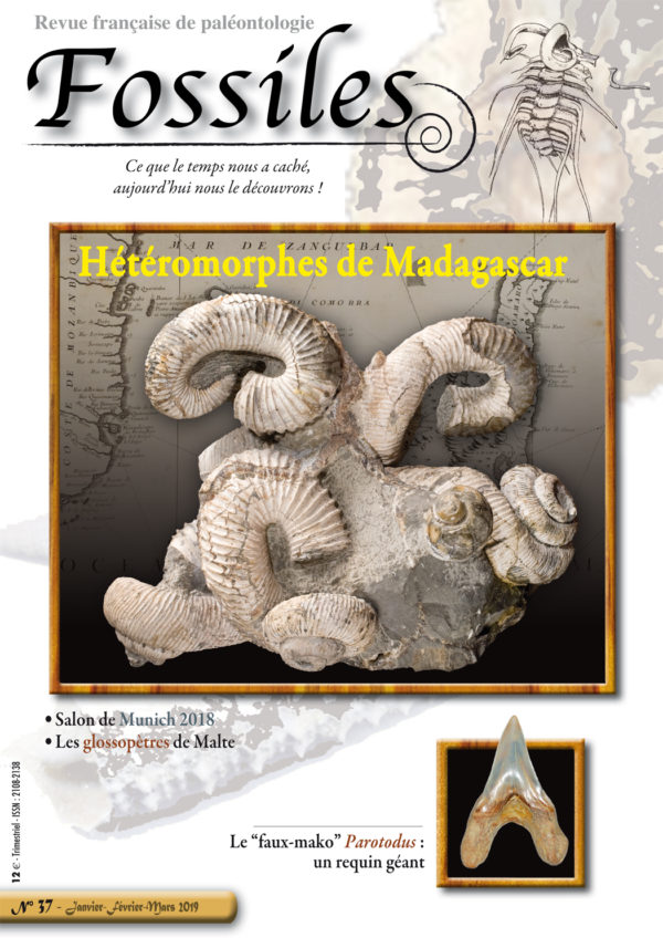 Fossiles n°37