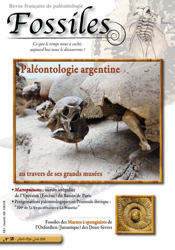 Fossiles n°38