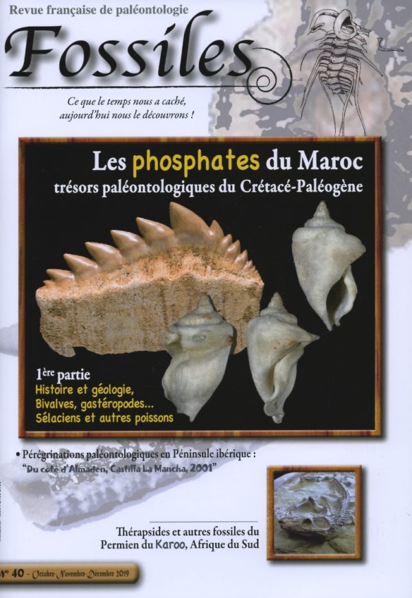 Fossiles n°40