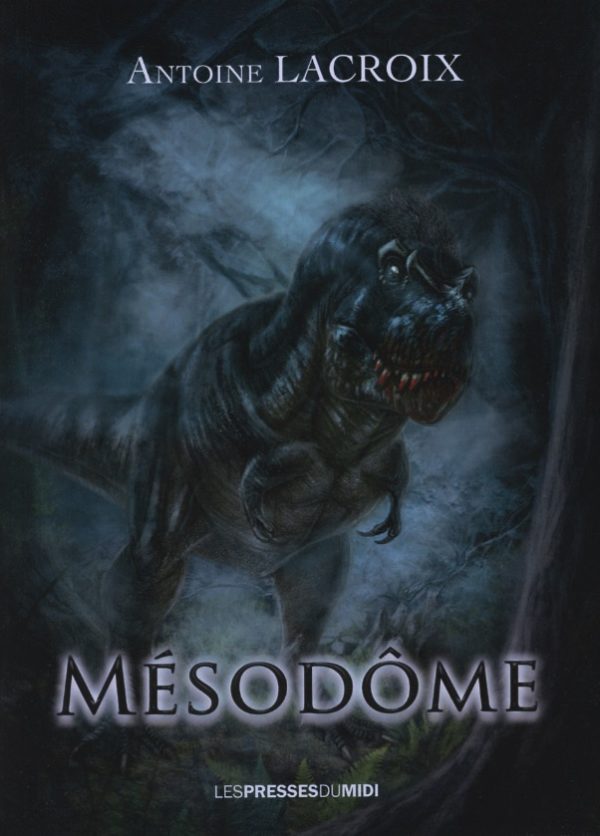 Le Mésodôme - Antoine Lacroix