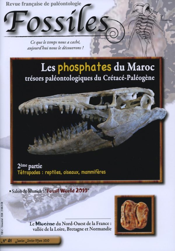 Fossiles n°41