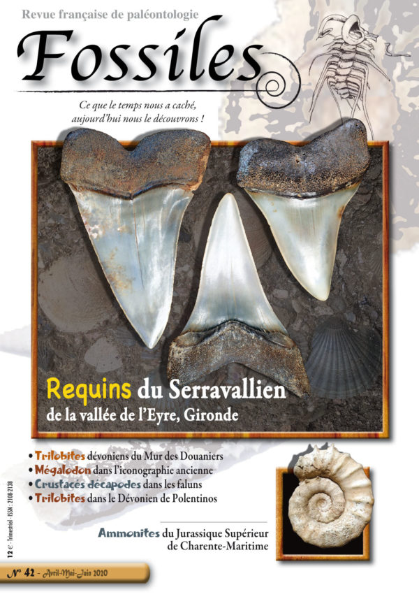 Fossiles n°42