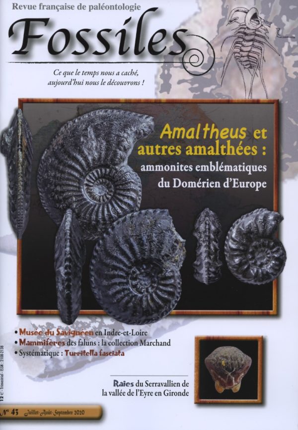 Fossiles n°43