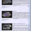 Clair comme du Cristal, minéralogie du Massif armoricain – Image 3