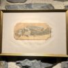 Gravure Disticholepis Fourneti - Thiolliere 1852 – Image 3