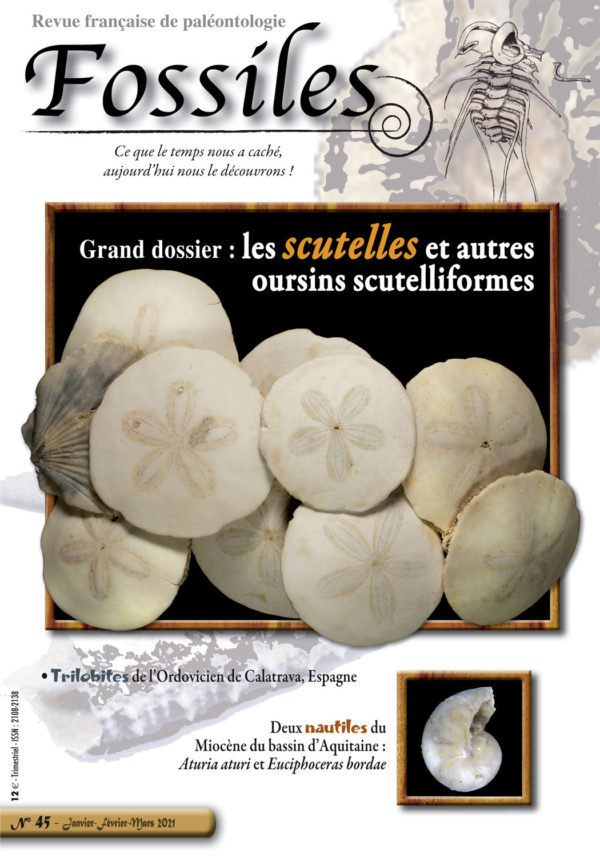 Fossiles n°45