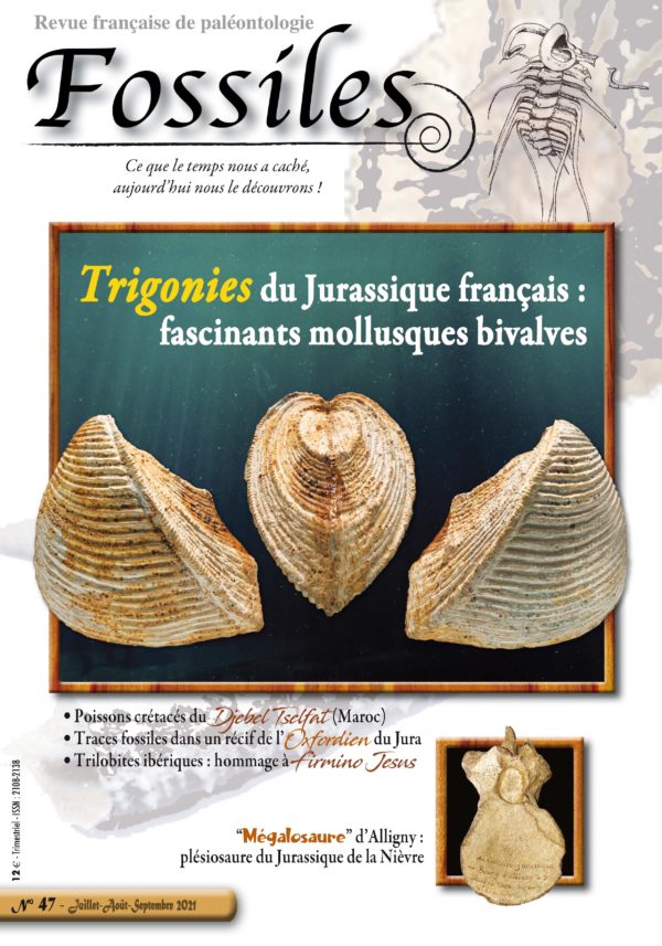 Fossiles n°47