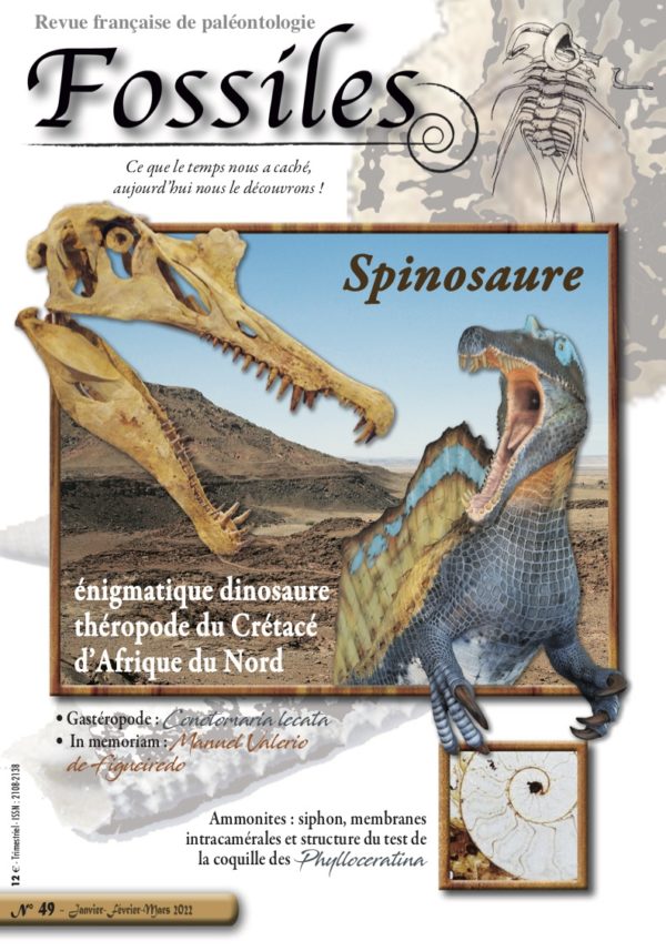Fossiles n°49