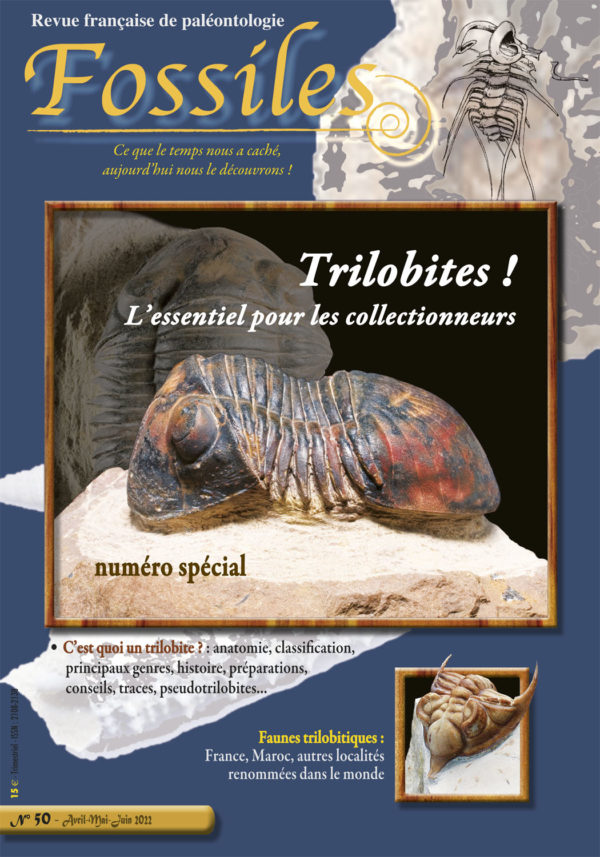 Fossiles n°50
