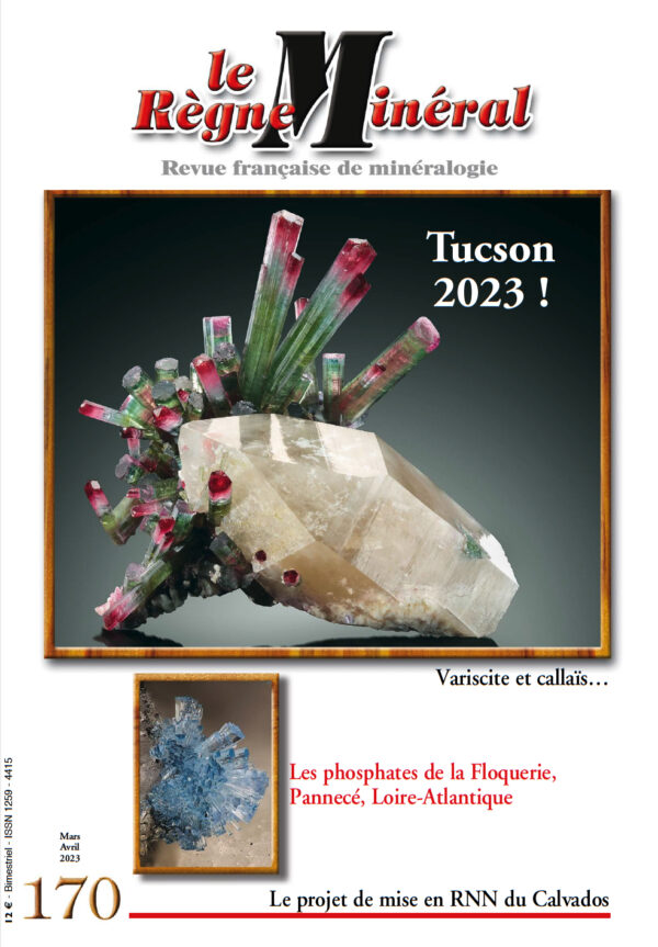 Le Règne Minéral n°170