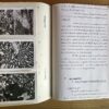 Rapport de stage - Mine d'Enguialès-Entraygues - Aveyron – Image 3