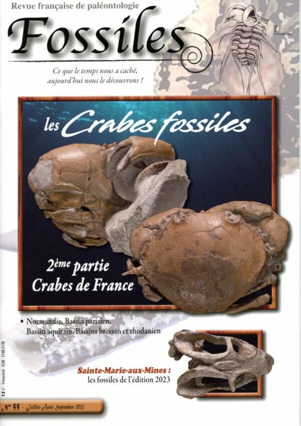 Fossiles n°55