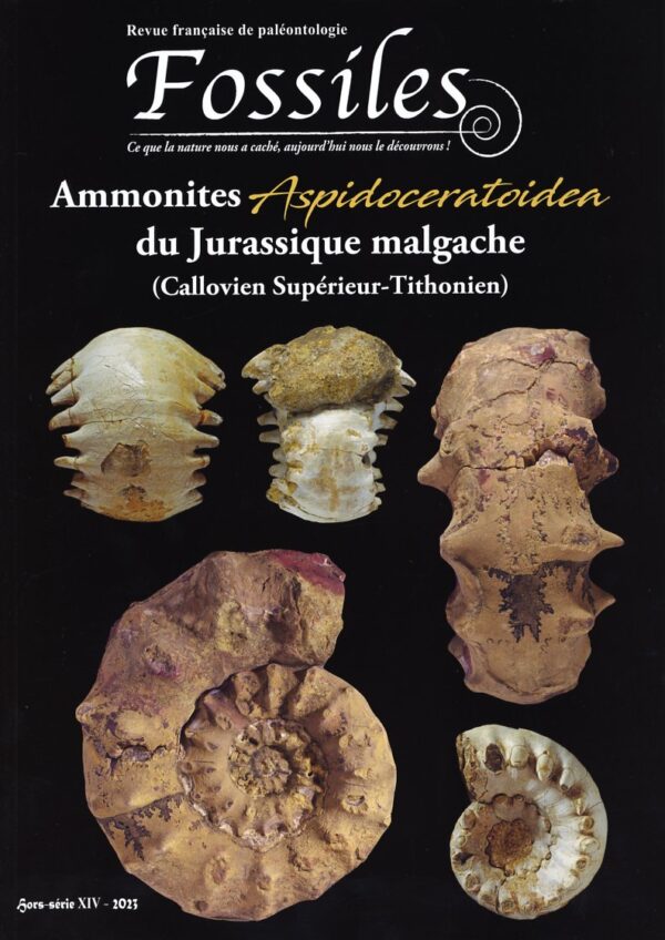 Fossiles Hors-Série 2023 - Ammonites Aspidoceratoidea du Jurassique malgache (Callovien Supérieur-Tithonien)