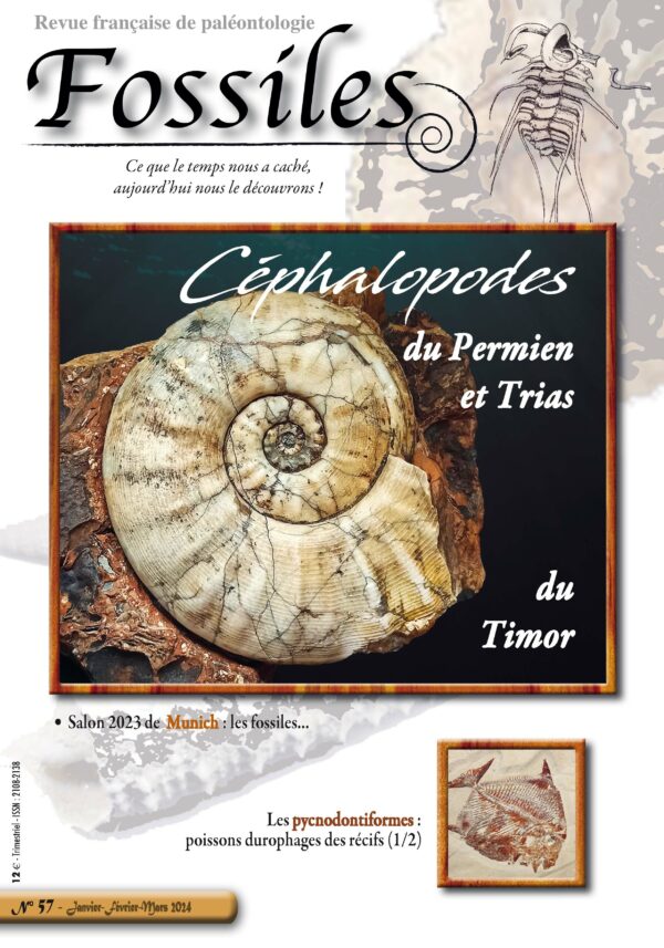 Fossiles n°57