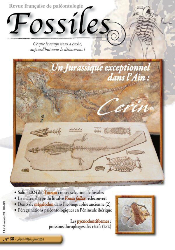 Fossiles n°58