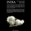 India - Berthold Ottens (2024) – Image 2