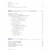 I minerali di berillio - Daniele Respino – Image 2
