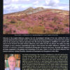 Minerals of the English Midlands - Roy E. Starkey – Image 2