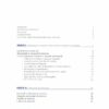I minerali di zirconio - Daniele Respino – Image 2